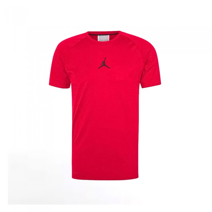 Футболка Nike CORE PERFORMANCE SS TOP 957496-R78