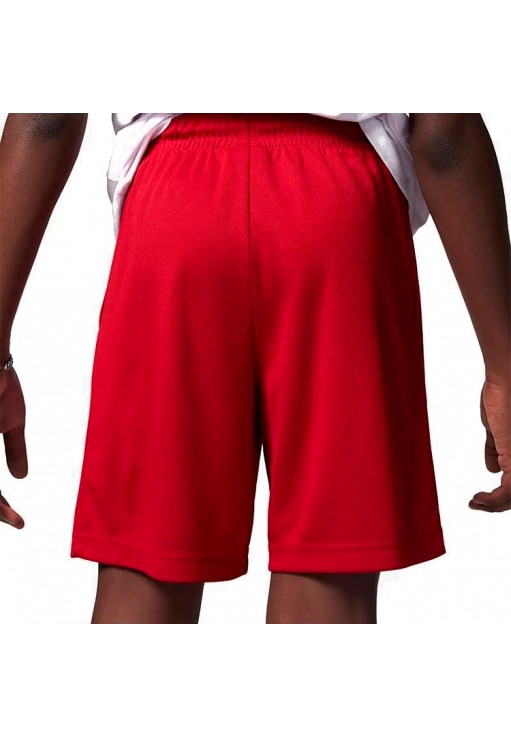 Шорты Nike JDB GYM 23 MESH SHORTS / JDB GYM 23 MESH SHORTS