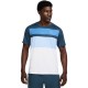 Футболка Nike M NKCT DF ADVTG TOP PRINT FZ9845-478