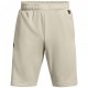 Шорты Under Armour UA TERRY SHORT 1366266-279