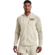 Толстовка Under Armour UA Rival Try Athlc Dep FZ HD 1370355-279