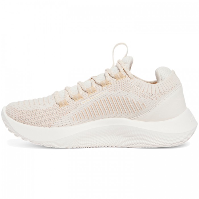 Incaltaminte Sport Under Armour UA W Dynamic 2 3028077-279