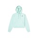Толстовка Nike W J ESSEN FLC HOODIE CORE DN4570-379