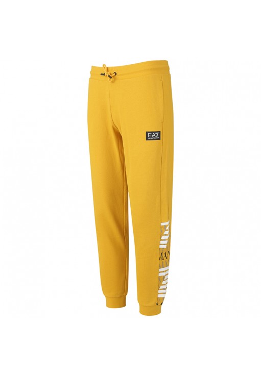 Брюки EA7 EMPORIO ARMANI PANTALONI