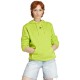 Толстовка Adidas HOODIE IJ8280