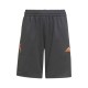 Шорты Adidas B AR X SHORT GT6981
