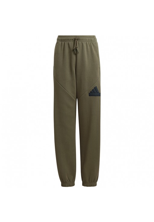 Брюки Adidas U FI LOGO PT