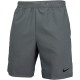 Шорты Nike M NK FLX VENT MAX 3.0 CJ1957-084