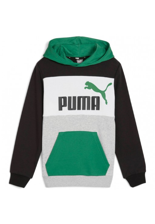 Толстовка Puma ESS BLOCK Hoodie TR B