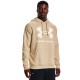 Hanorac Under Armour UA Rival Fleece Big Logo HD 1357093-290