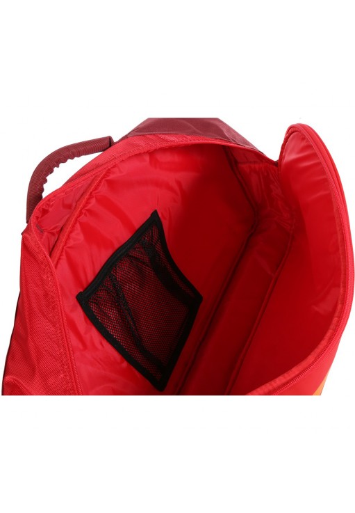 Сумка спортивная HEAD TERMOBAG TTEAM 3R PROI 21RDRD