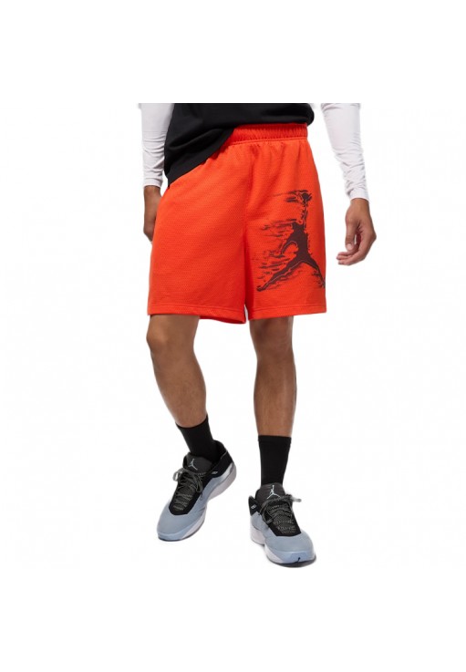 Шорты Nike M J DF SPRT GFX SHORT