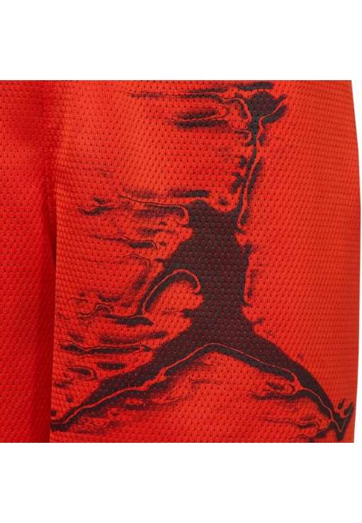 Шорты Nike M J DF SPRT GFX SHORT