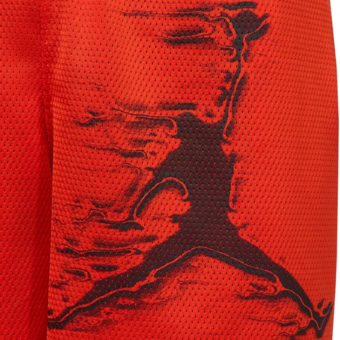 Шорты Nike M J DF SPRT GFX SHORT HQ8665-891 - 2