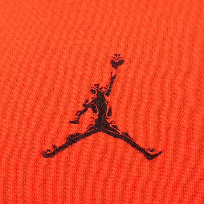 Футболка Nike M J DF SPRT JDN SS CREW HQ8970-891 - 2