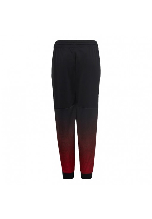 Брюки Adidas LK DY MM PANT