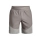 Шорты Under Armour UA Unstoppable Hybrid Shorts 1373780-294