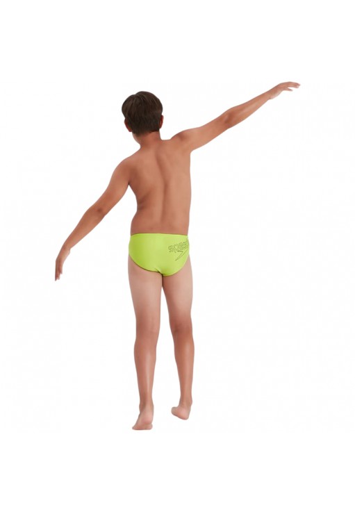 Slipi Speedo LOGO 6.5CM BRF JM