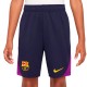 Шорты Nike FCB Y NK DF STRK SHORT KZ HJ7877-594