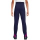Брюки Nike FCB Y NK DF STRK PANT KPZ HJ7891-594 - 2
