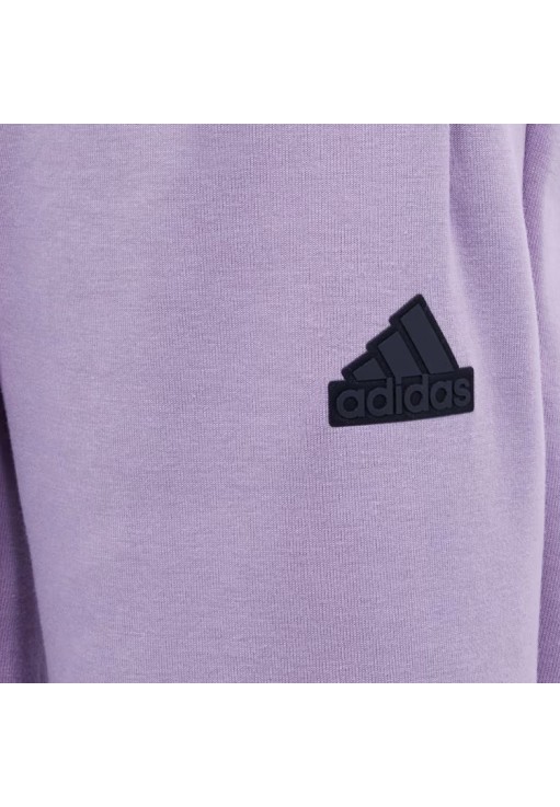 Брюки Adidas J Z.N.E. PT