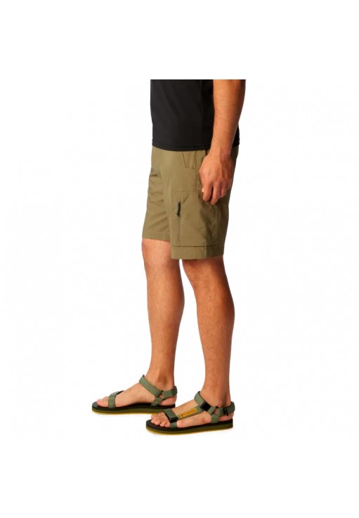 Шорты Columbia Silver Ridge Utility Cargo Short