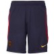 Шорты Nike PSG M NK DF STRK SHORT KZ DX3193-498
