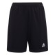 Sorti Adidas ENT22 TR SHOY H57498