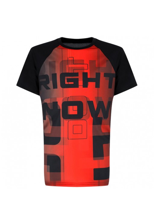 Футболка Demix Train B Tee