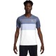 Tricou Nike M NKCT DF ADVTG TOP PRINT FZ9845-499