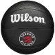 Мяч баскетбольный Wilson TORONTO RAPTORS Mini WZ4017608XB3