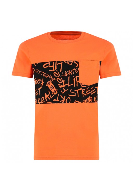 Футболка Demix Tee B