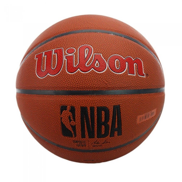 Мяч баскетбольный Wilson NBA Team Alliance Tor Raptors WTB3100XBTOR - 3