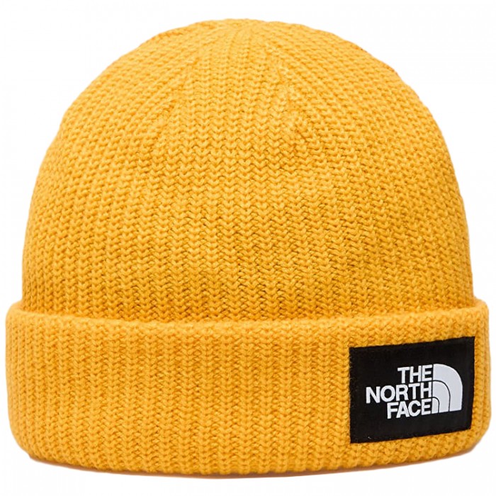 Шапка The North Face SALTY LINED BEANIE NF0A8CGZ56P1
