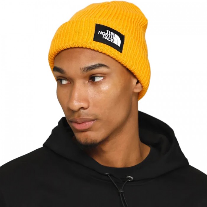 Шапка The North Face SALTY LINED BEANIE NF0A8CGZ56P1 - 2
