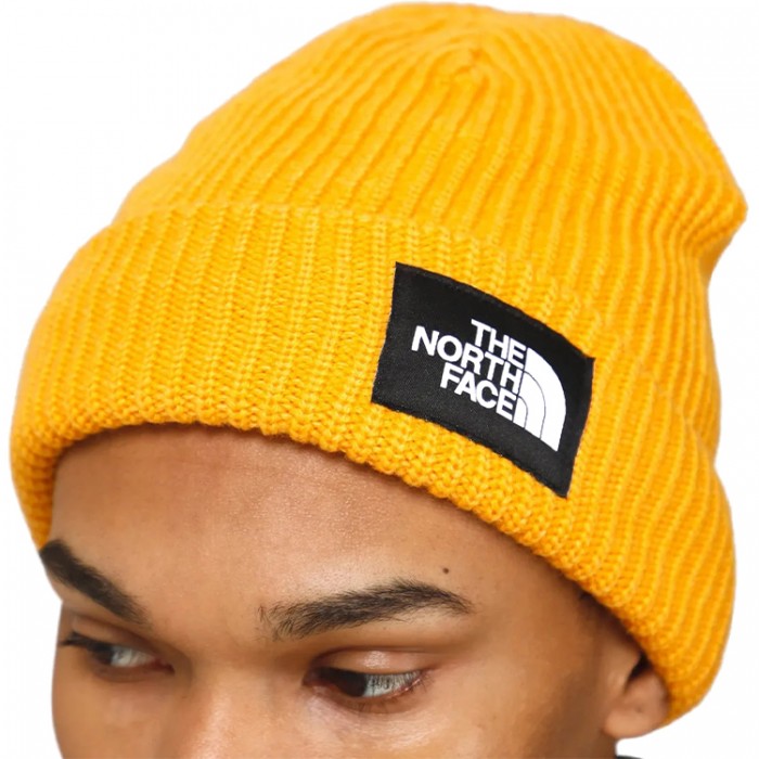 Шапка The North Face SALTY LINED BEANIE NF0A8CGZ56P1 - 4