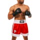Sorti Green Hill Kickboxing Short KBSF-3746-RD