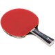 Paleta p/u tenis de masa Torneo Ping pong racket TIB200TRN