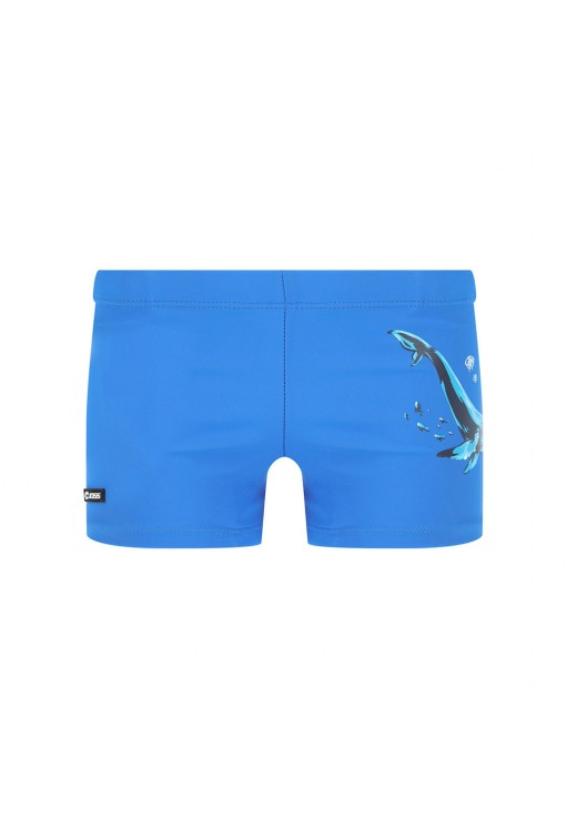 Плавки Joss B Swim Bief 
