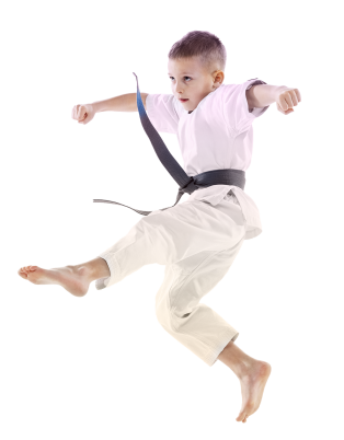 Единоборства