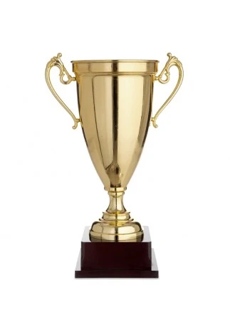 Cupe HAOYUNQI Trophy
