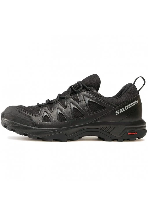 Кроссовки Salomon BRAZE GTX