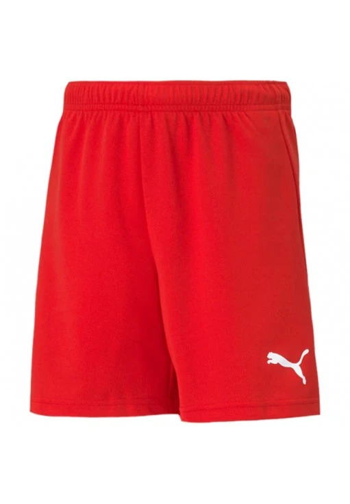 Sorti Puma teamRISE Short Jr