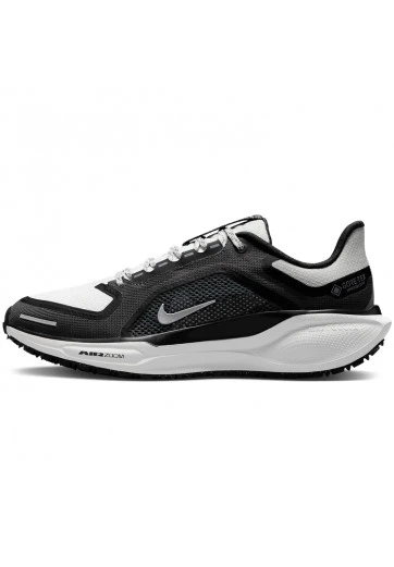 Incaltaminte Sport Nike W AIR ZM PEGASUS 41 GTX