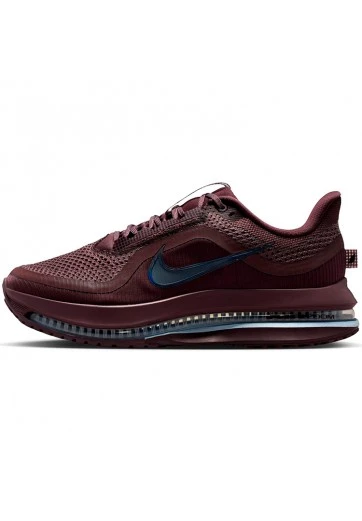 Incaltaminte Sport Nike PEGASUS PREMIUM