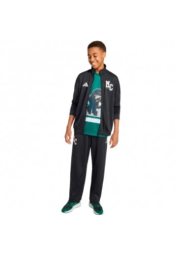 Спортивный костюм Adidas J MC