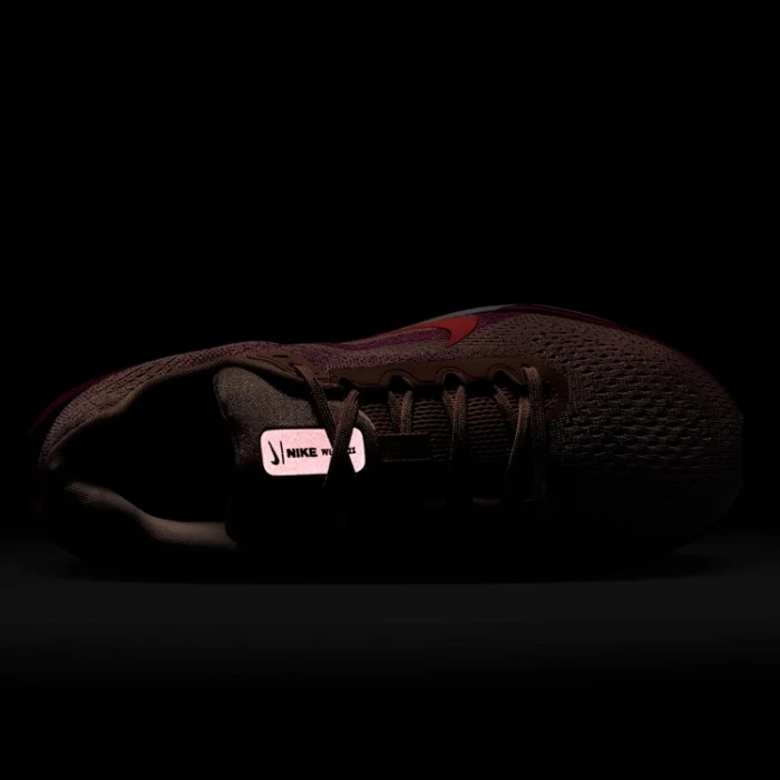 Incaltaminte Sport Nike WMNS AIR WINFLO 11 - 8