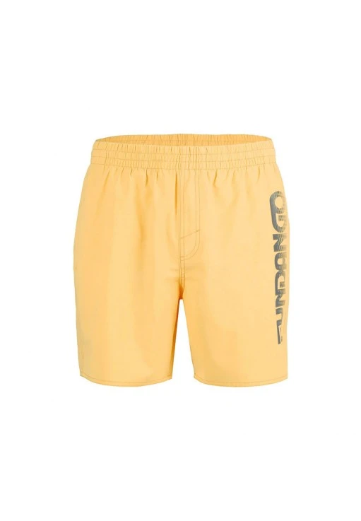 Sorti p/u inot Fundango Bono Beach Shorts