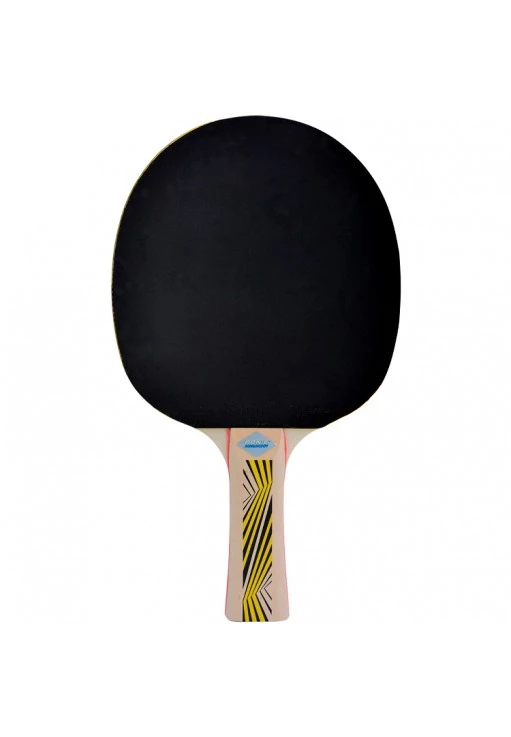 Paleta pentru tenis de masa Donic Legends 500