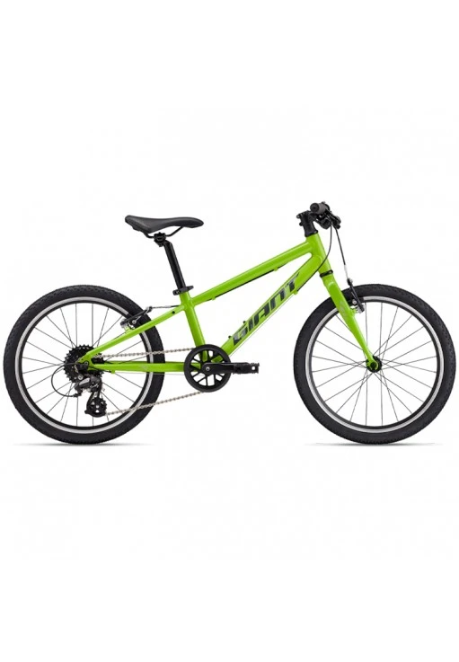 Bicicleta pentru copii Giant ARX 20